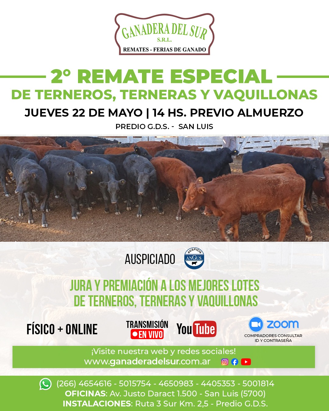 Imagen de 2° Especial de Terneros y Terneras 